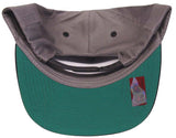 Southern Mississippi Golden Eagles Snapback Logo Retro Cap Hat Grey Black - THE 4TH QUARTER