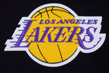Los Angeles Lakers Pro Standard Men's Premium Pullover Hoodie Black