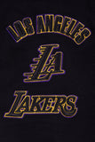 Los Angeles Lakers Pro Standard Men's Premium Pullover Hoodie Black