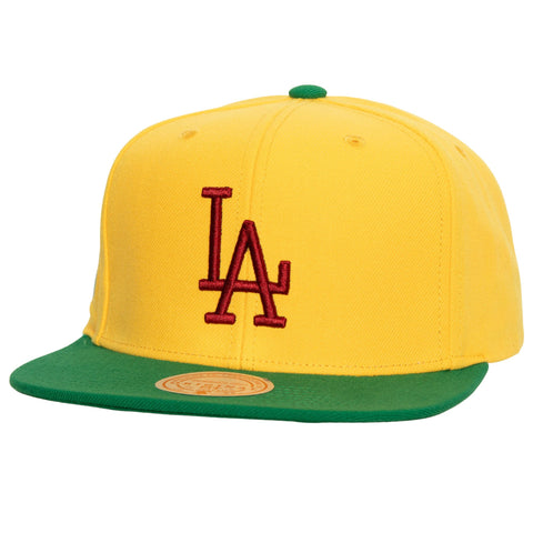Los Angeles Dodgers Snapback Mitchell & Ness Hometown 2 Tone Coop Cap Hat