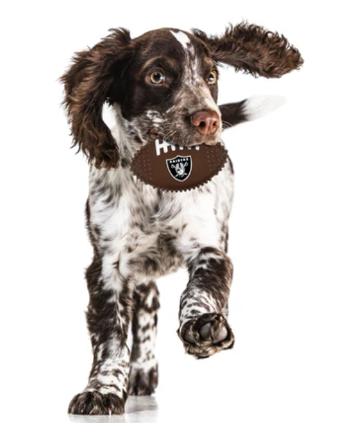 Raiders Pet Dog Hard Nylon Football Chew Toy - THE 4TH QUARTER