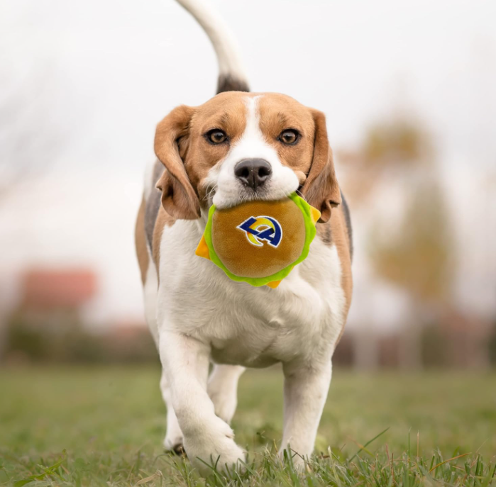 Rams Pet Dog Plush Hamburger Toy - THE 4TH QUARTER