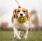 Rams Pet Dog Plush Hamburger Toy
