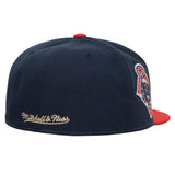 Boston Red Sox Mitchell & Ness Fitted Homefield Coop Cap Hat Green UV