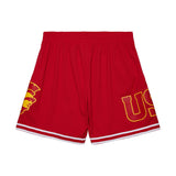 USC Trojans Mens Mitchell & Ness Team ID 7in Mesh Logo Shorts