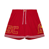 USC Trojans Mens Mitchell & Ness Team ID 7in Mesh Logo Shorts
