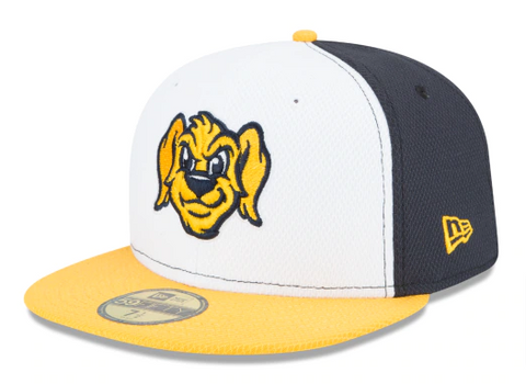 Charleston Riverdogs Fitted New Era 59Fifty MILB Diamond Cap Hat